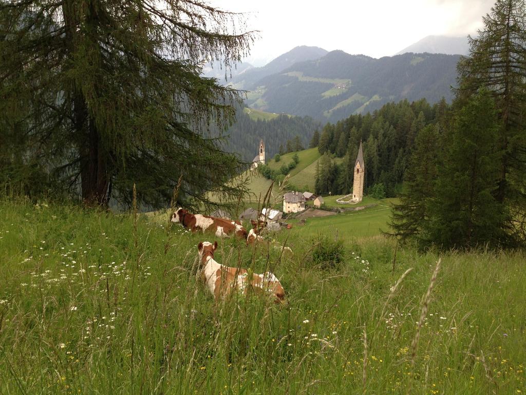 Ciasa Raut Appartement La Valle Buitenkant foto