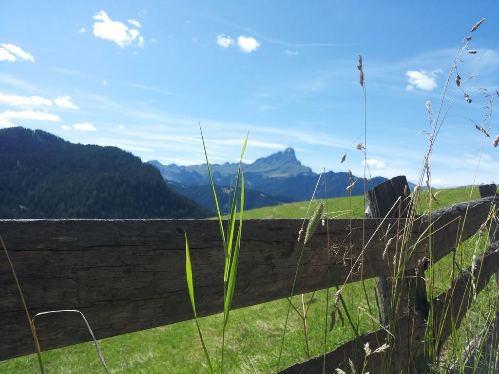 Ciasa Raut Appartement La Valle Buitenkant foto