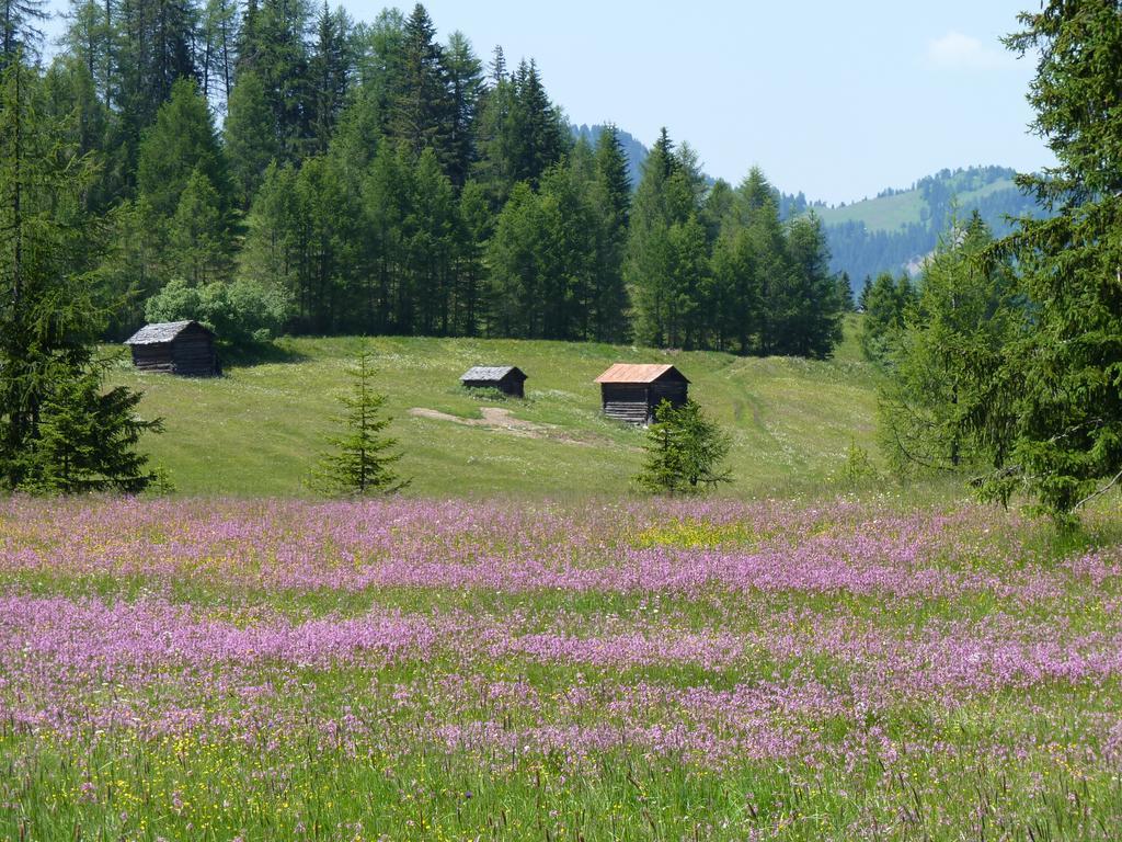 Ciasa Raut Appartement La Valle Buitenkant foto